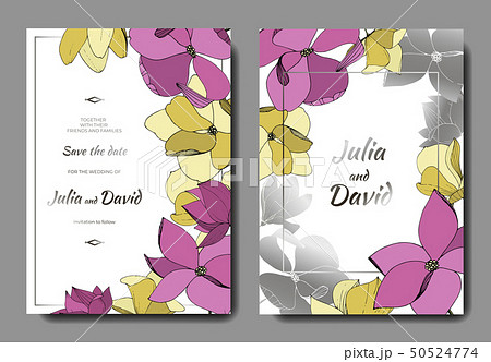 Vector Magnolia botanical flowers. Purple and yellow engraved ink art. Wedding background card Vector Magnolia botanical flowers. Purple and yellow engraved ink art. Wedding background card 50524774
