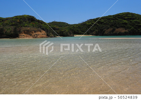 美しい無人島のビーチ 50524839