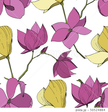 Vector Magnolia floral botanical flowers. Purple and yellow engraved ink art. Seamless background 50524864