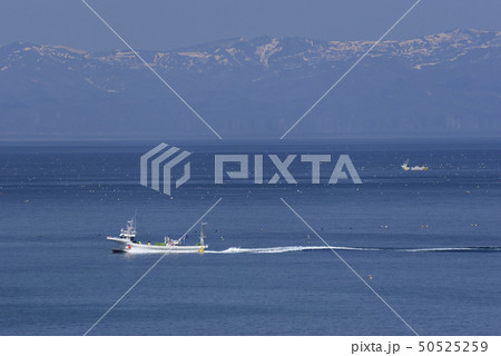春の北海道八雲町で噴火湾（内浦湾）を行きかうホタテ漁船の風景を撮影 50525259