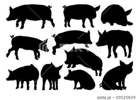 Pig Silhouettes Farm Animal Set 50525624