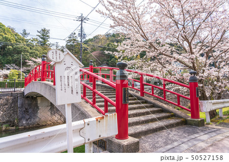 玉造温泉　宮橋（恋叶い橋）春　桜 50527158