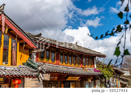 中国 チャイナ 磁器 50527433