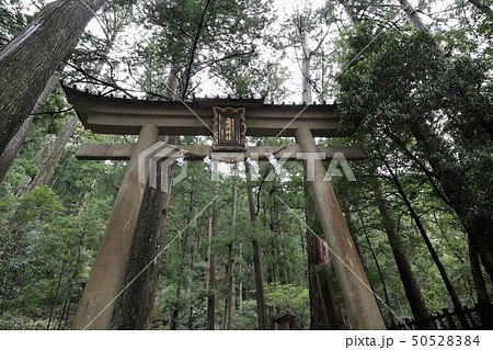 飛瀧神社の鳥居 飛瀧神社の鳥居 50528384