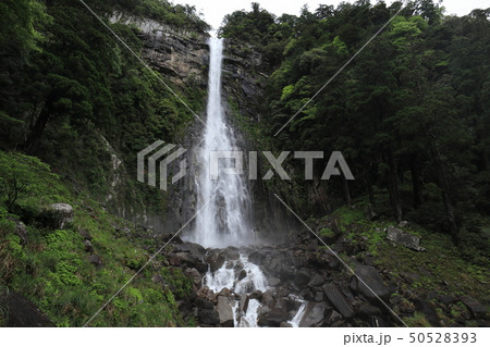 那智の滝 那智の滝 50528393