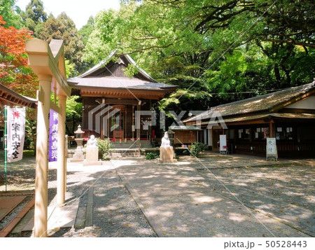 熊本県菊池郡大津町　日吉神社 50528443