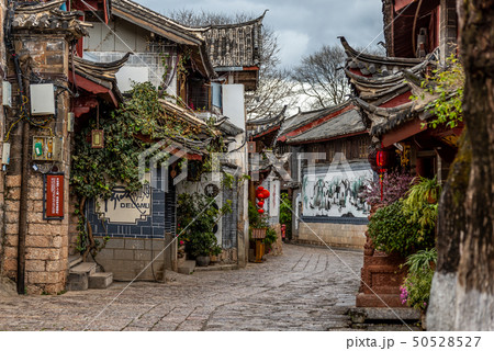 中国 チャイナ 磁器 50528527