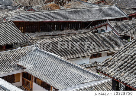 中国 チャイナ 磁器 50528750