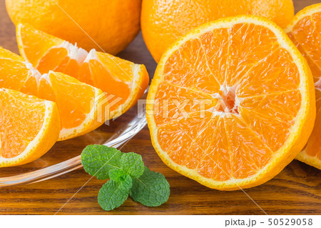 デコポン デコポン 50529058