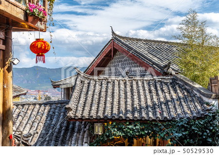 中国 チャイナ 磁器 50529530