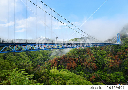 雨上がりの竜神大吊橋 雨上がりの竜神大吊橋 50529601
