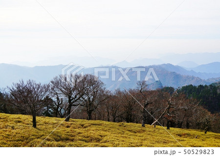 大台ヶ原 日出ヶ岳から海方面の景色 大台ヶ原 日出ヶ岳から海方面の景色 50529823
