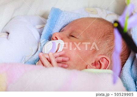 Closeup of little newborn sleeping with teat in Closeup of little newborn sleeping with teat in 50529905
