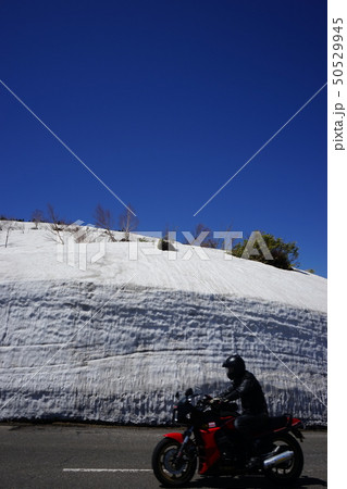 行ってみよう八幡平雪の回廊 行ってみよう八幡平雪の回廊 50529945