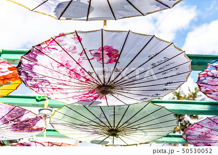 中国 チャイナ 磁器 50530052