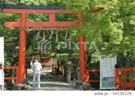 初夏の京都、大田神社の鳥居と境内を掃く男性 初夏の京都、大田神社の鳥居と境内を掃く男性 50530128