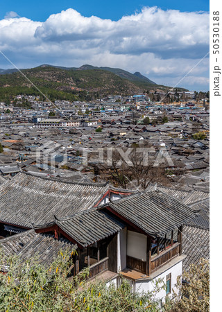 中国 チャイナ 磁器 50530188