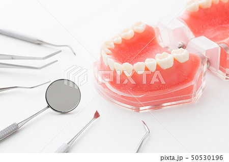 歯科イメージ 歯科イメージ 50530196