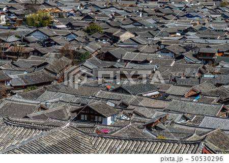 中国 チャイナ 磁器 50530296