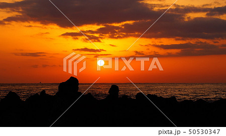 気仙沼岩井崎の日の出 50530347