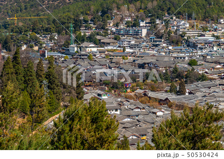 中国 チャイナ 磁器 50530424