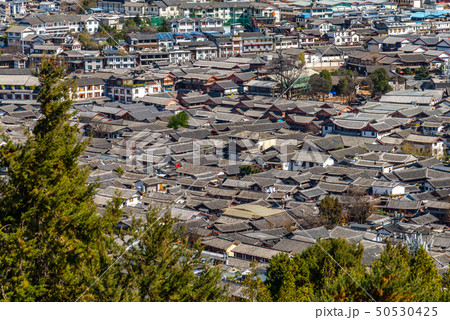 中国 チャイナ 磁器 50530425