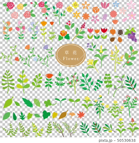 Set of flowers 50530638