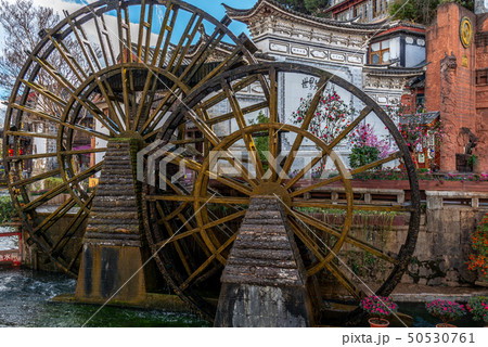 中国 チャイナ 磁器 50530761