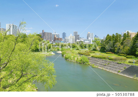 広瀬川 仙台市全景 新緑 広瀬川 仙台市全景 新緑 50530788