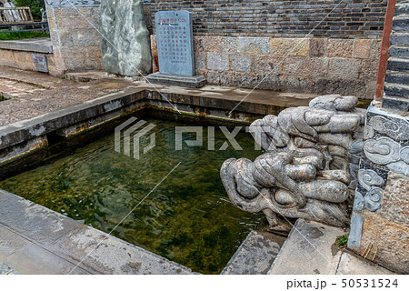 中国 チャイナ 磁器 50531524