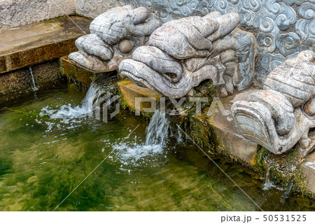 中国 チャイナ 磁器 50531525