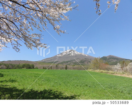 磐梯山と桜 50533689