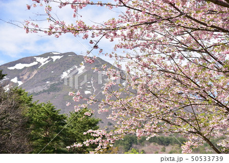 磐梯山 磐梯山 50533739