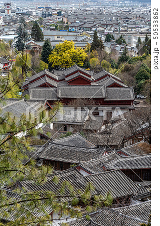 中国 チャイナ 磁器 50533862