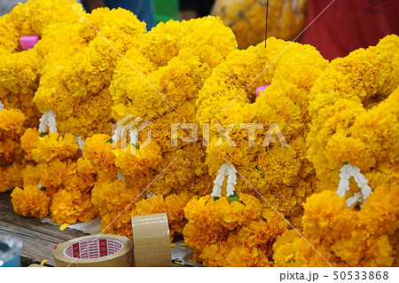 バンコクの生花市場、パーク・クローン市場  Pak Klong Market 50533868