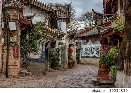 中国 チャイナ 磁器 50534359