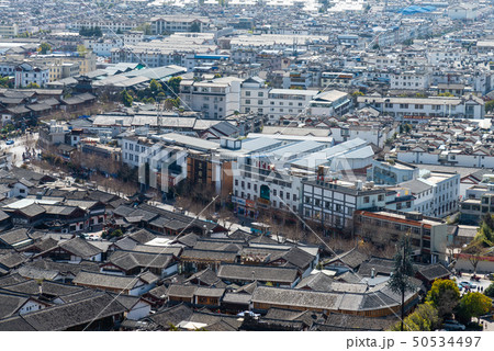 中国 チャイナ 磁器 50534497