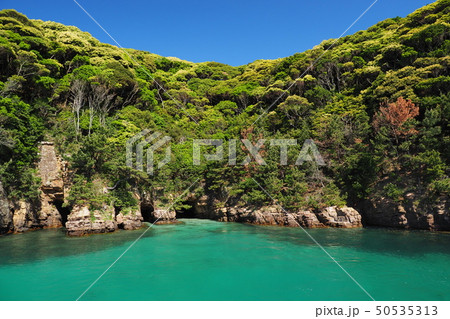 美しい無人島のイメージ 美しい無人島のイメージ 50535313