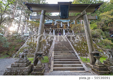 玉置神社 50536091