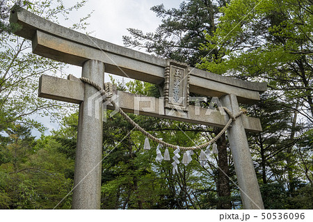 玉置神社 50536096