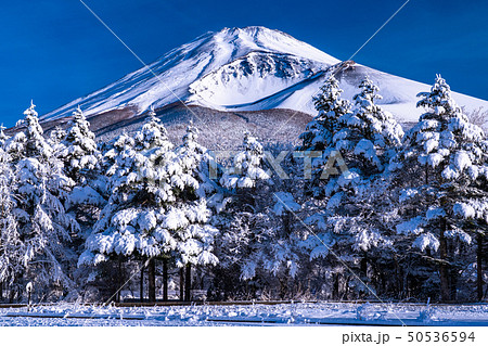 《静岡県》富士山と大雪原と樹氷 50536594