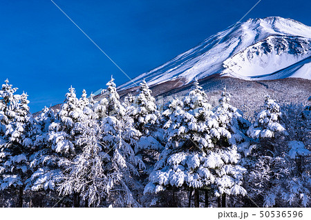 《静岡県》富士山と大雪原と樹氷 50536596