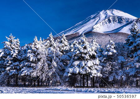 《静岡県》富士山と大雪原と樹氷 50536597