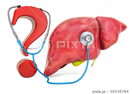 Human liver and gallbladder with question mark 50536764