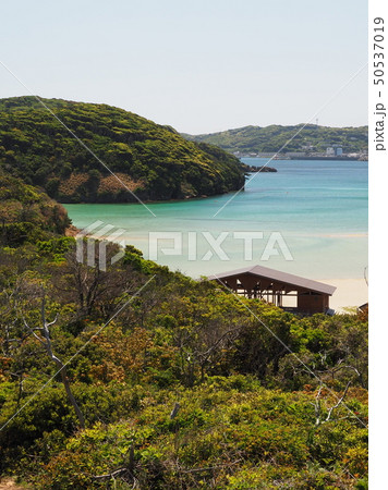 美しい無人島のビーチ 美しい無人島のビーチ 50537019