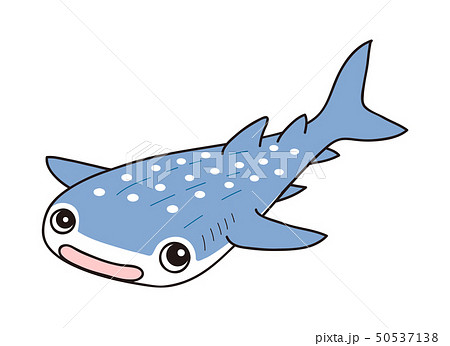 ジンベエザメ Whaleshark 50537138