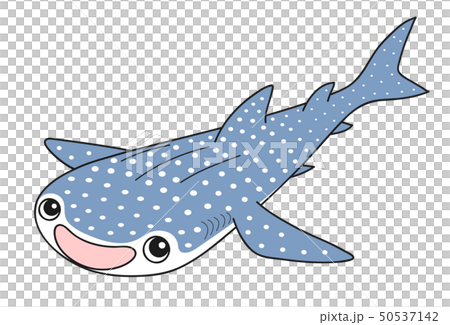 ジンベエザメ Whaleshark 50537142
