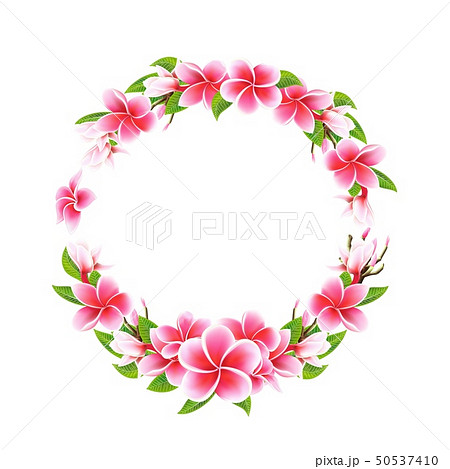 Valentines day postcard Wedding invitation card wreath with Plumeria flowers Valentines day postcard Wedding invitation card wreath with Plumeria flowers 50537410