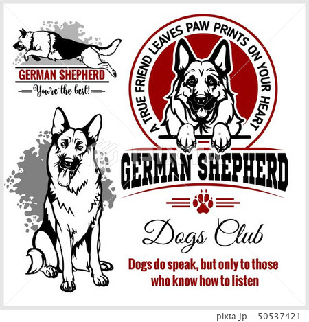 German Shepherd - vector set for t-shirt, logo and template badges German Shepherd - vector set for t-shirt, logo and template badges 50537421