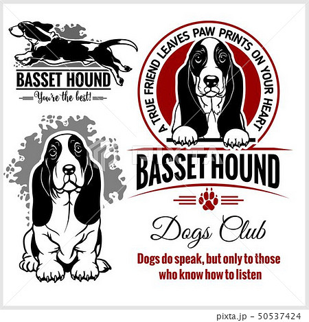 Basset Hound Vector Set For T Shirt Logo And のイラスト素材